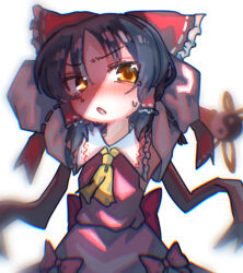 hakurei reimu from cookie (touhou)