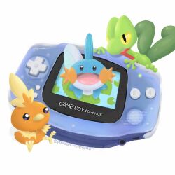 mudkip from nintendo