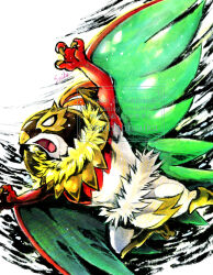 hawlucha from pokemon