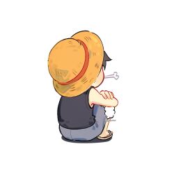monkey d. luffy from one piece