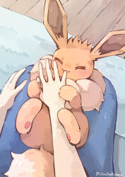 eevee from pokemon