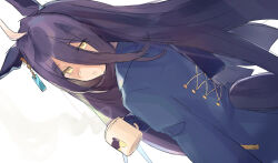 manhattan cafe (creeping black) (umamusume) from umamusume