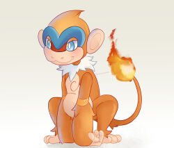 monferno from pokemon
