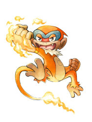 monferno from pokemon