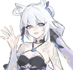 kiana kaslana from honkai (series)