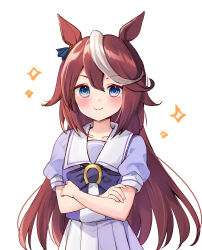 tokai teio (umamusume) from umamusume by purin jiisan