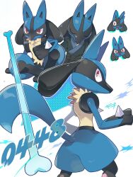 lucario from pokemon