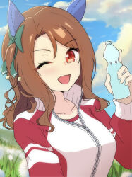 king halo (umamusume) from umamusume