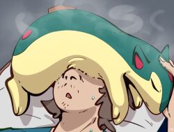 quilava from pokemon