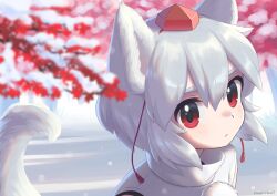 inubashiri momiji from touhou