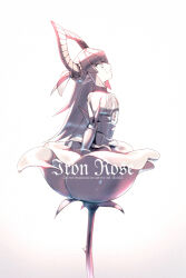 elizabeth bathory (fate) from fate/grand order by echo (circa)
