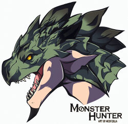 rathian from monster hunter (series) by woofzilla