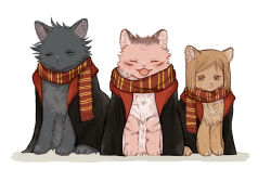 fushiguro megumi from harry potter (series)