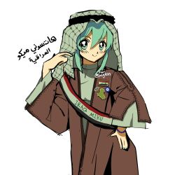 hatsune miku from vocaloid