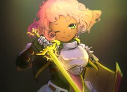 paladin (sekaiju) from sekaiju no meikyuu by hijikimon2mon