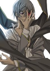 lelouch vi britannia from code geass by kudou masashi
