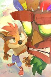 aku aku from crash bandicoot