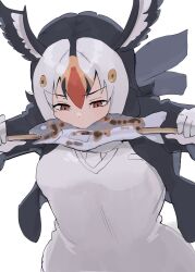 atlantic puffin (kemono friends) from kemono friends