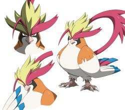 mega pidgeot from pokemon
