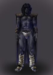 n-daguva-zeba from kamen rider by godai yusuke