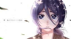 kuchiki rukia from bleach
