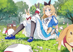 alice (alice in wonderland) from alice's adventures in wonderland