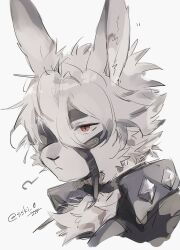 von lycaon from zenless zone zero
