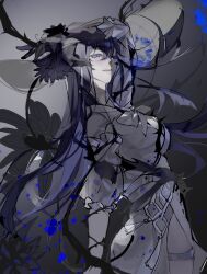 honkai: star rail fan art