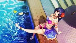 minami kotori (bird) from love live! school idol project by ushas