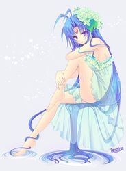 rosemary bergamot from magical halloween by tokinon