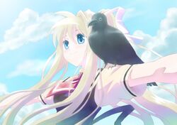 kamio misuzu from air