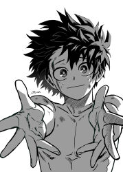 midoriya izuku from boku no hero academia