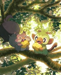 grookey from pokemon by aruco co