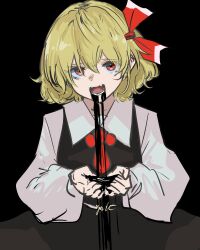 rumia from touhou