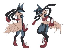 lucario from pokemon