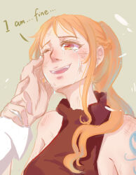 nami (one piece) from one piece
