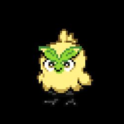 browt from pokemon
