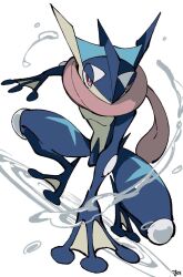 greninja from pokemon