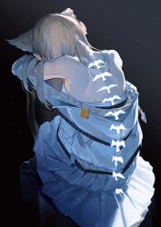 perlica (arknights) from arknights
