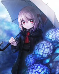 rumia from touhou by spark621