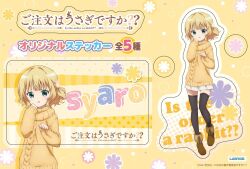 kirima syaro from gochuumon wa usagi desu ka?
