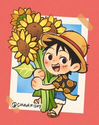 monkey d. luffy from one piece