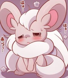 cinccino from nintendo