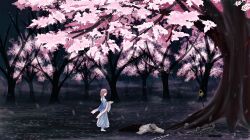 saigyouji yuyuko from touhou