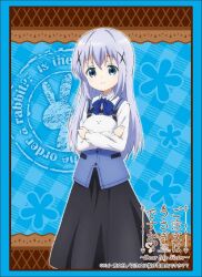 kafuu chino from gochuumon wa usagi desu ka?