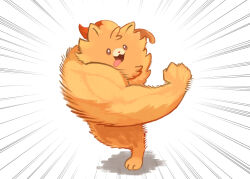 pombon from pokemon