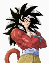 son goku from dragon ball