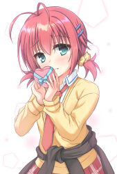 ebihara minase from bra-ban!