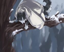 golden kamuy fan art