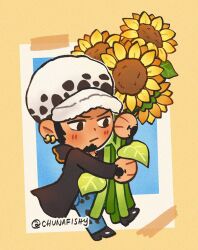 trafalgar law from one piece